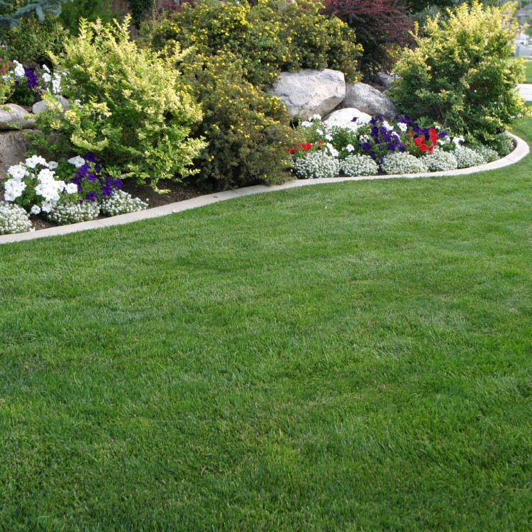 Landscape Maintenance in Sumter, SC
