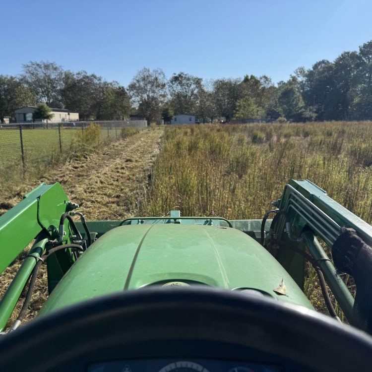 Landscape Maintenance in Sumter, SC