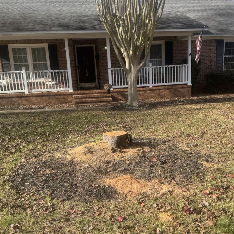 Landscape Maintenance in Sumter, SC